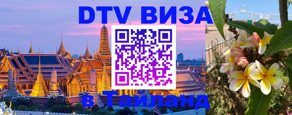 Сколько стоит DTV виза — актуальные цены, оформление даже без документов - 19.11.2025 